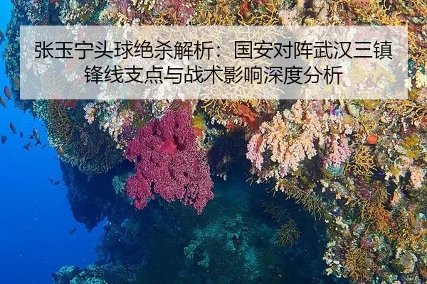 张玉宁头球绝杀解析：国安对阵武汉三镇锋线支点与战术影响深度分析